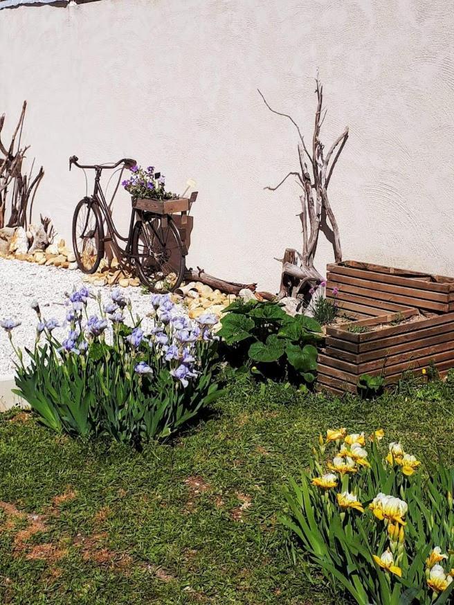 Bed and Breakfast Les Coronilles Saint-Maximin Zewnętrze zdjęcie